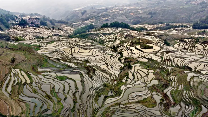 太阳能光伏板与光伏组件选型对比：重庆地区分布式光伏系统配置要点解析