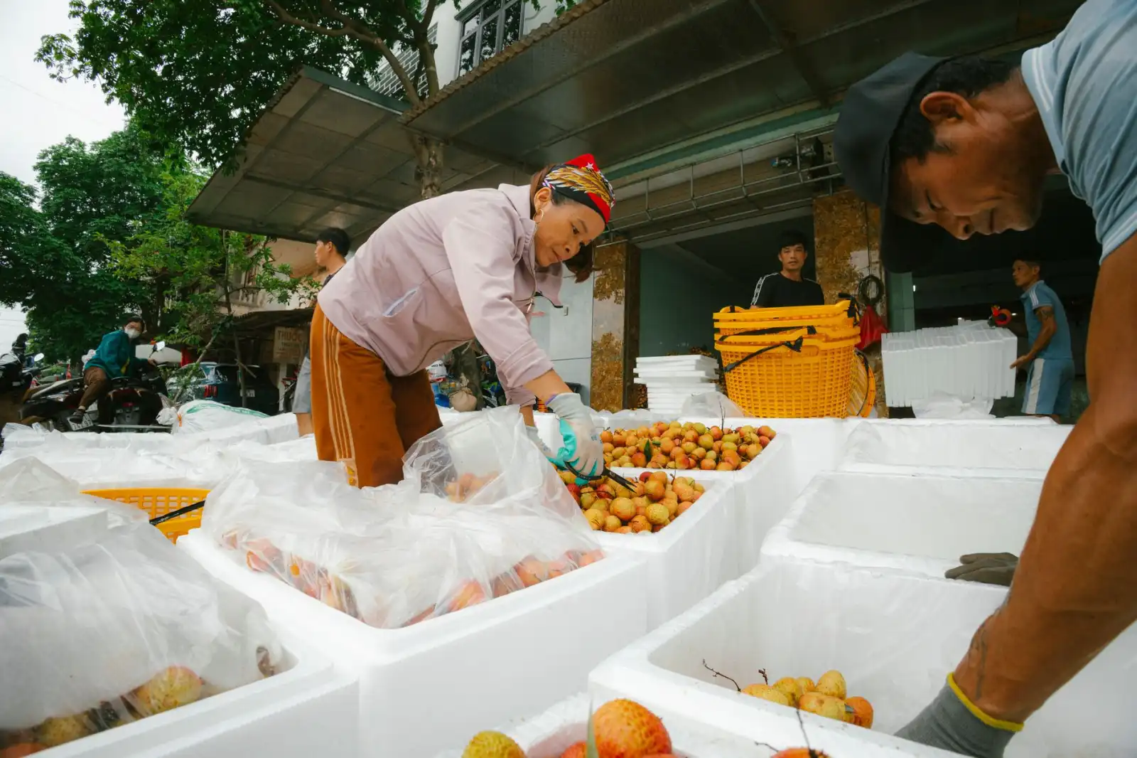 重庆道之源解读分布式光伏系统设计与并网技术要求