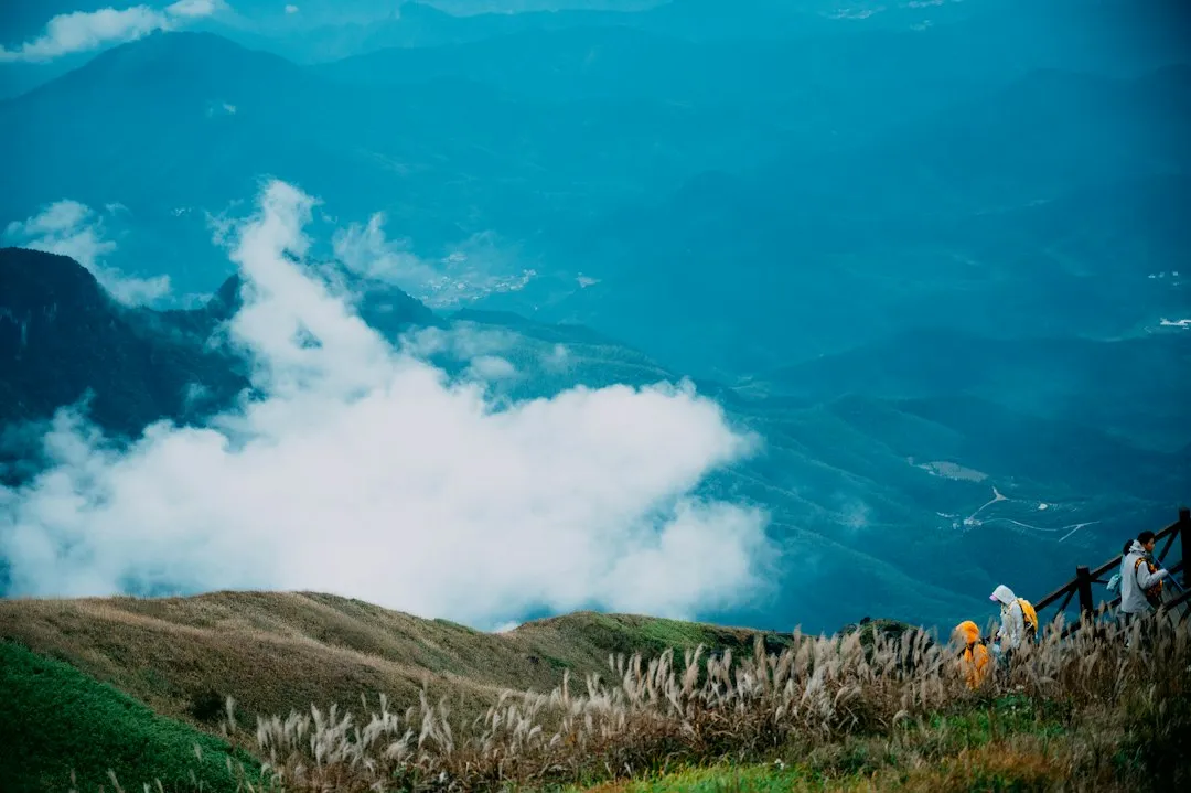 光伏组件选型指南：单晶与多晶在西南山地的适用性对比正文配图 1